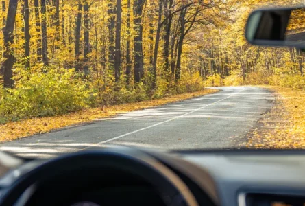 Drive safely in the spring to make it home