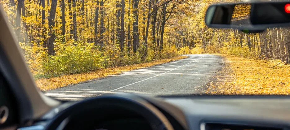 Drive safely in the spring to make it home